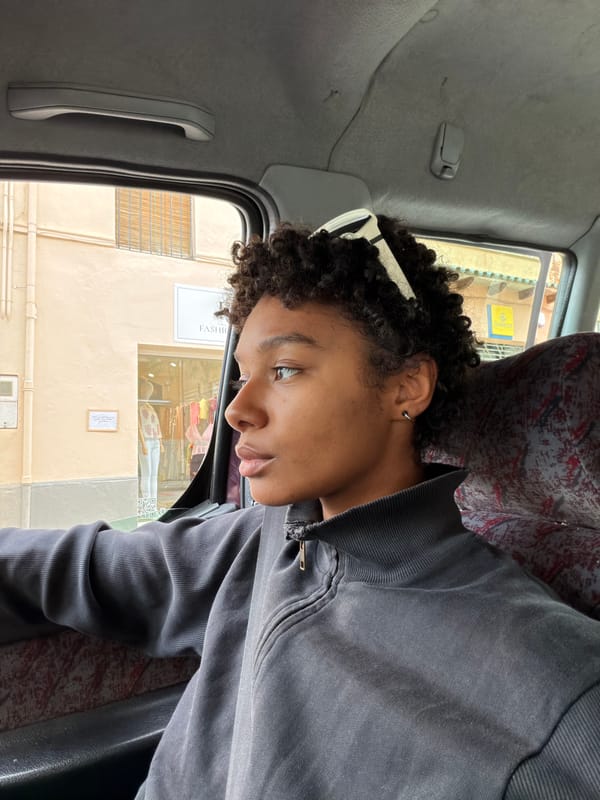 Car passenger photographed from multiple angles in Pals