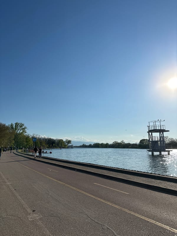 Afternoon dining and leisure at Plovdiv's Rowing Canal