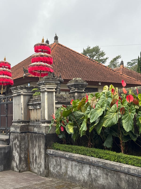 Visitor documents morning tour of Bali's Ulun Danu temple