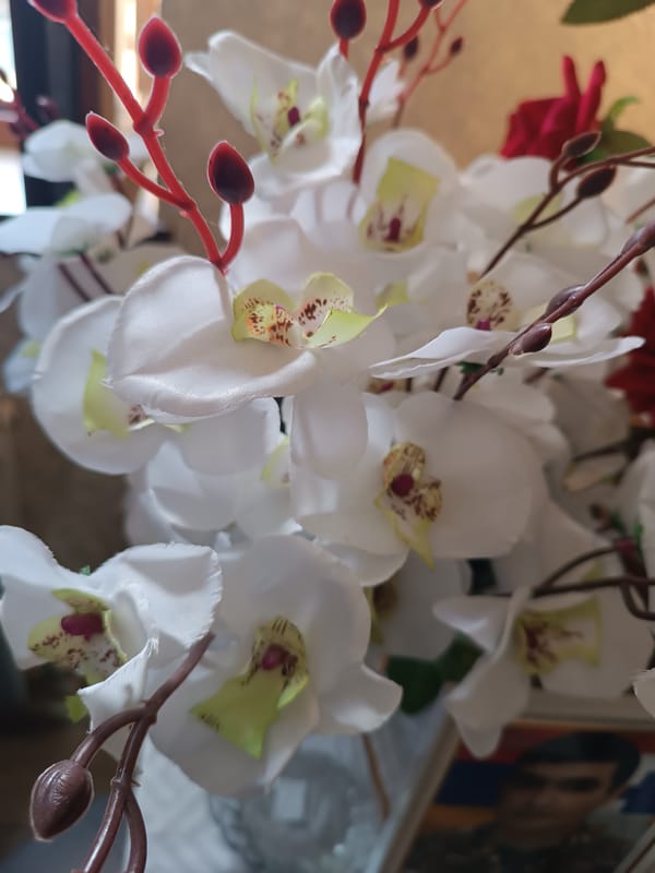 Close-up shots of decorative and artificial flowers indoors