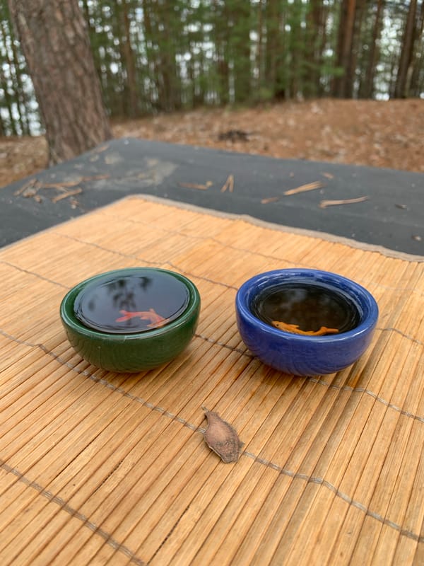 Fish in ceramic bowls observed on bamboo mat