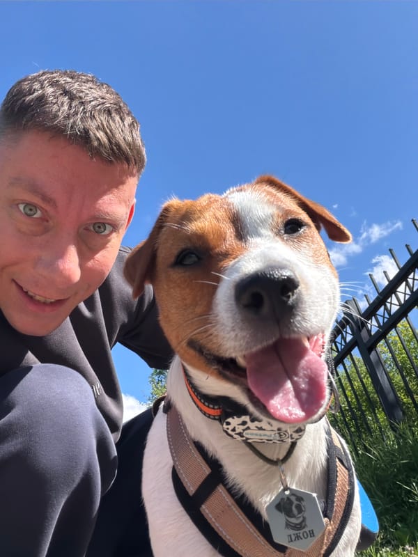 Jack Russell Terrier runs agility course on a Moscow summer morning