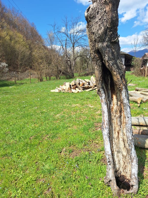 Spring documentation captures Apriltsi Bulgaria's seasonal transition landscapes