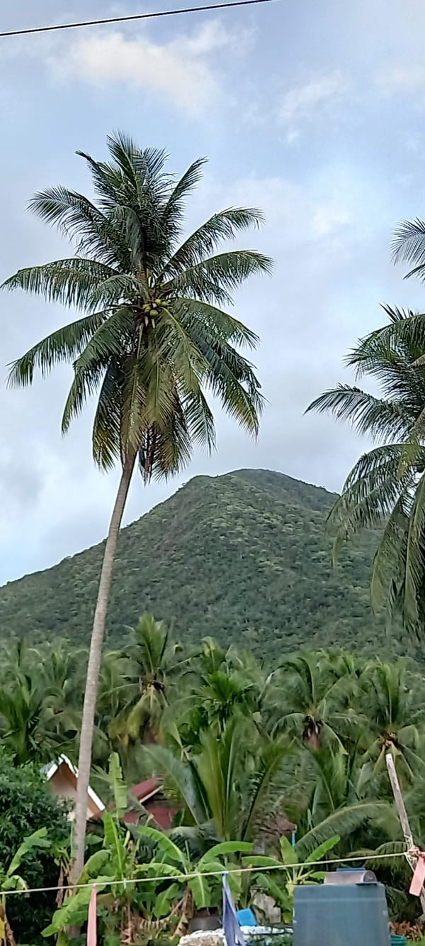 Tropical scenes documented across Baan Chaloklum, Thailand morning