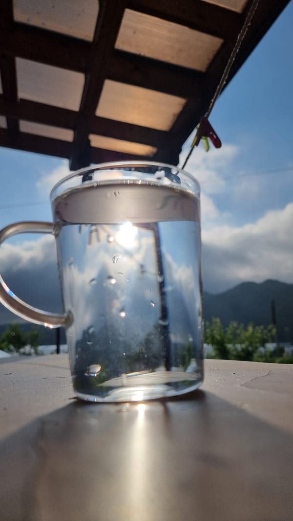 Quiet moments captured in rural South Korea: mug, rose, dog