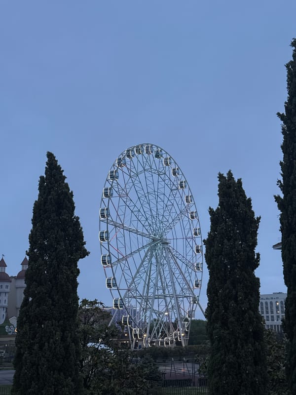 Evening visit to Sochi Park attractions in Sirius, Russia