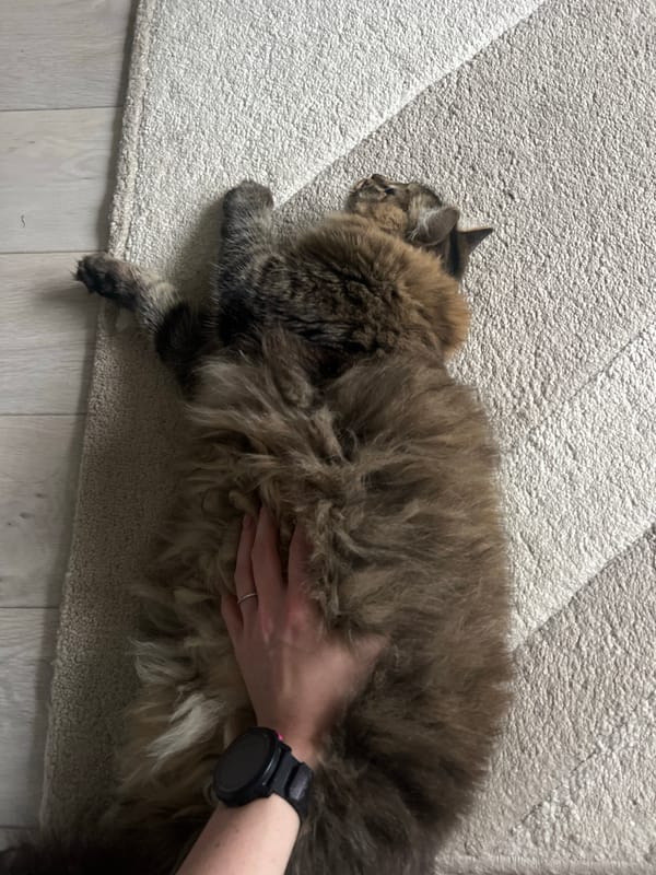 Early morning self-care routine documented in Chaikovsky bathroom