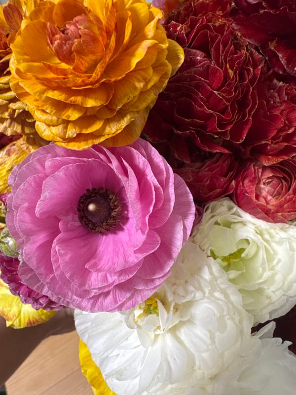 Evening photography session captures flowers, food, portrait in Ramat Gan