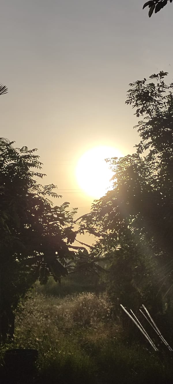 Sunset captured across rural Lhokseumawe landscapes