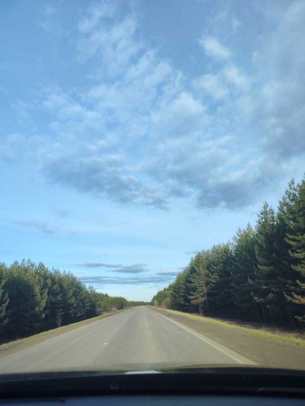 Driver documents rural highway journey with truck, forests