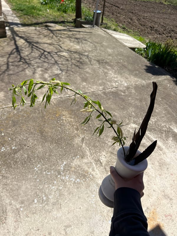 Person holds decorative vase with branches and feathers in Bulgaria