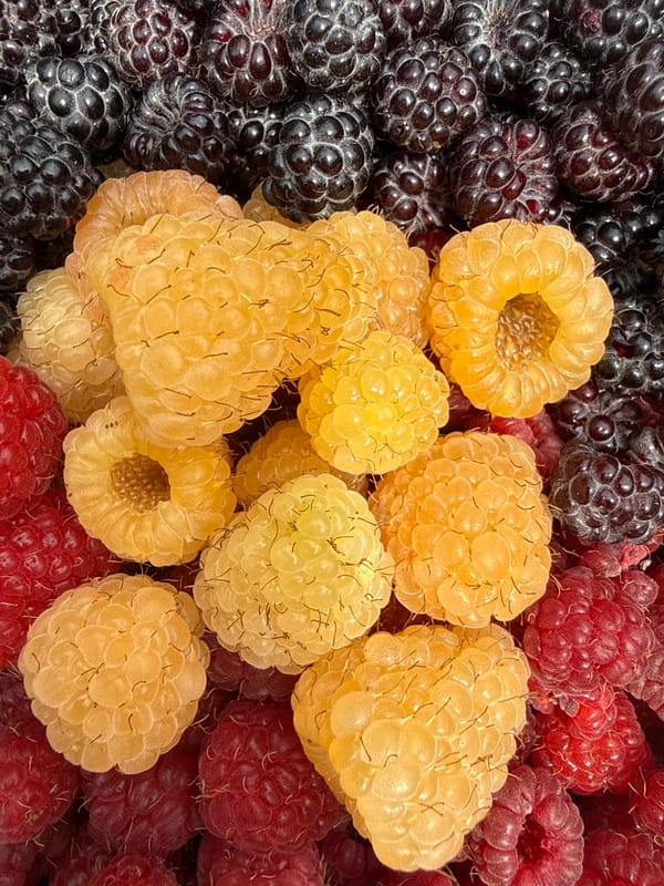Summer garden in full bloom: flowers and fresh raspberries in Izobilnyy