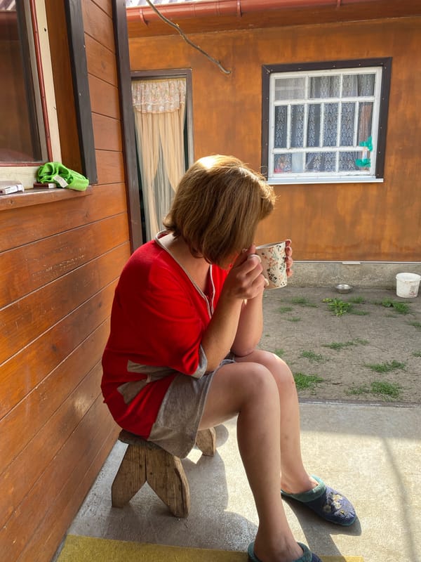 Slow summer morning at a rural Ukrainian homestead