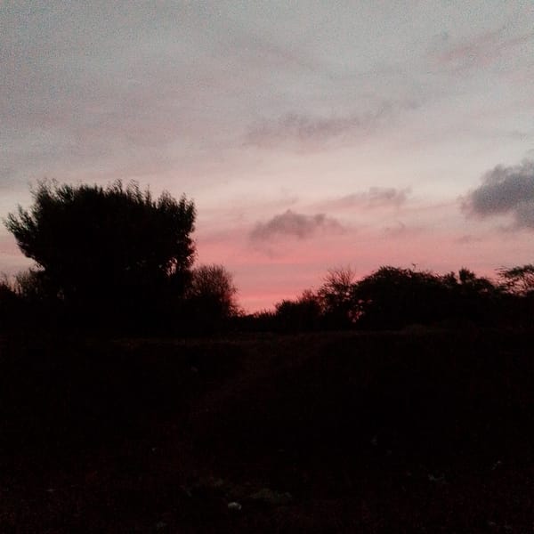 Dusk landscape captured in Altagracia, Venezuela