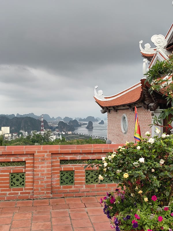 Architectural view documented from elevated terrace in Ha Lam Ward