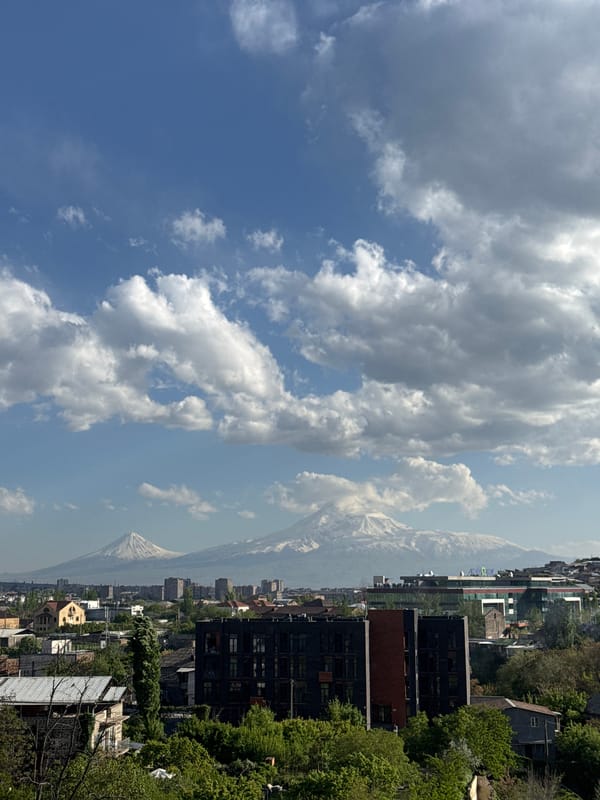 Witnesses document Yerevan cityscape with Mount Ararat backdrop