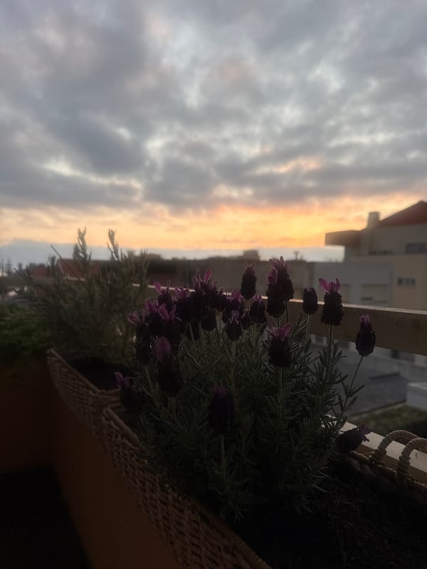 Sunset clouds over Vila Nova de Gaia rooftops, balcony view