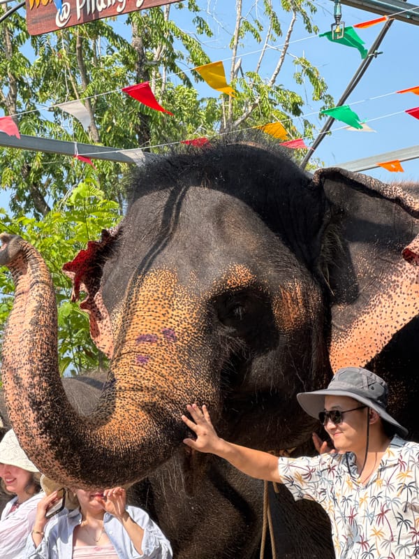 Elephant encounters documented across two Thai locations Saturday morning