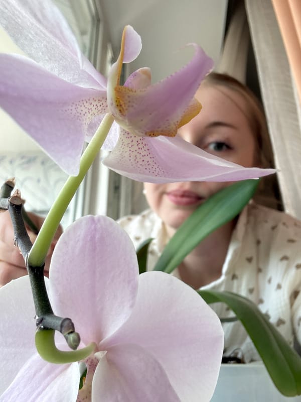 Woman documents playful morning moments with flowers, toys, coffee