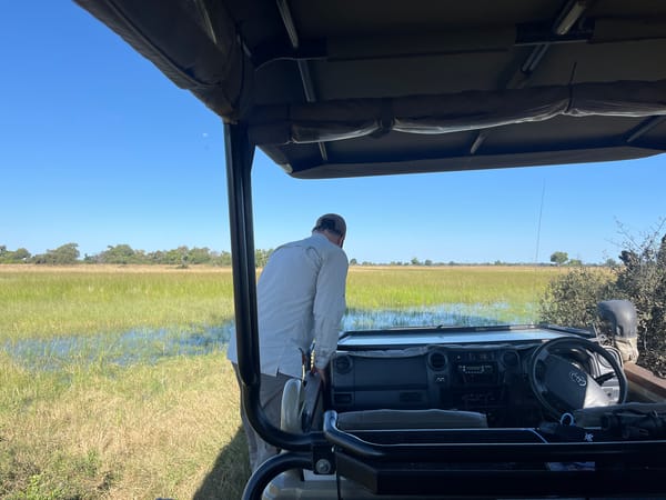 Safari tourists explore flooded grasslands near Kakoro, Botswana