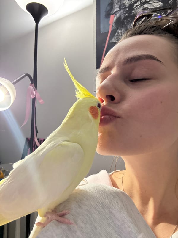 Woman takes bathroom selfies in Krasnoyarsk, pink craft spotted