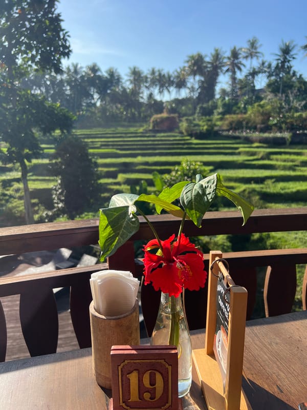 Tourist documents resort stay in Ubud, Indonesia