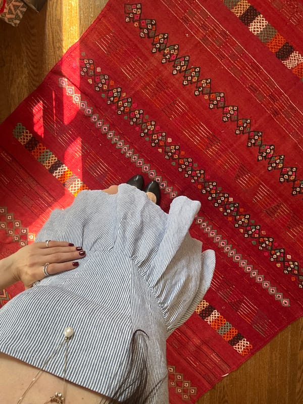 New Yorker documents quiet afternoon moments at home