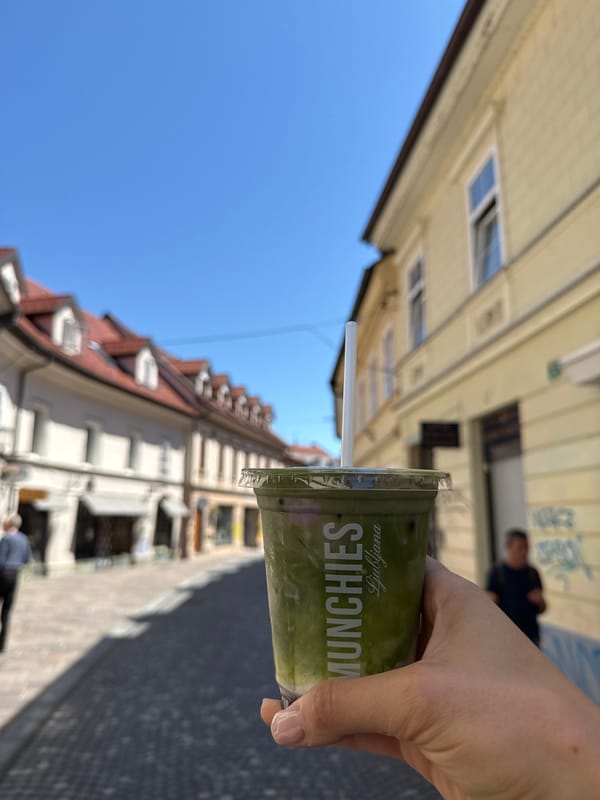 Tourist documents morning walking tour of Ljubljana's historic center