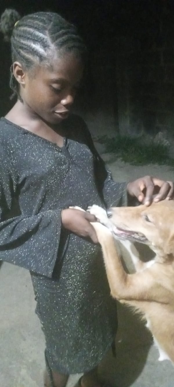 Person with braided hair plays with dogs and puppies
