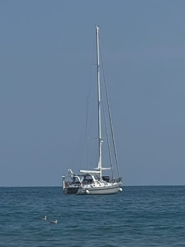 Sunny day on the water: sailboat, pier, and beach views