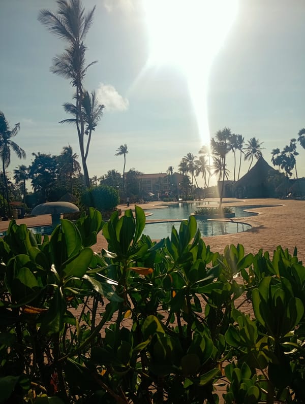 Tropical resort poolside scene captured at Playa El Agua