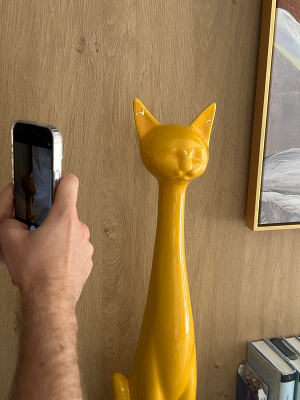 Person photographs ceramic cat figurine and flower painting in Sofia