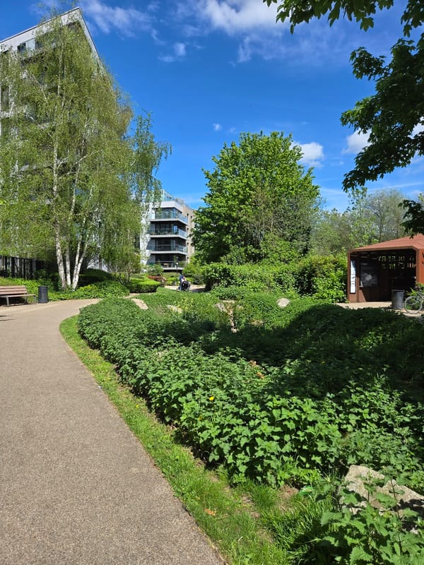 London resident documents local green space and modern housing