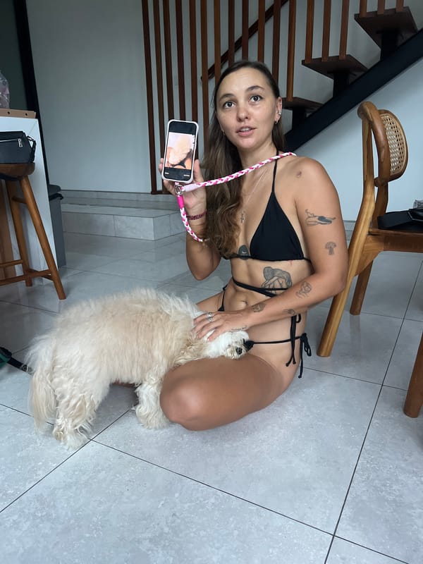 Quiet evening moments with pets captured in Mengwi home