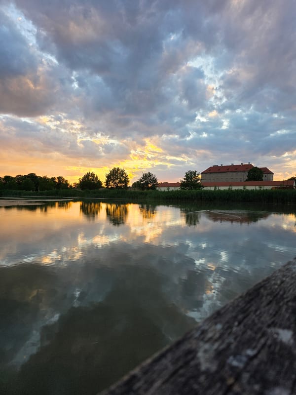 Golden hour scenes with swans, historic buildings, and dramatic skies