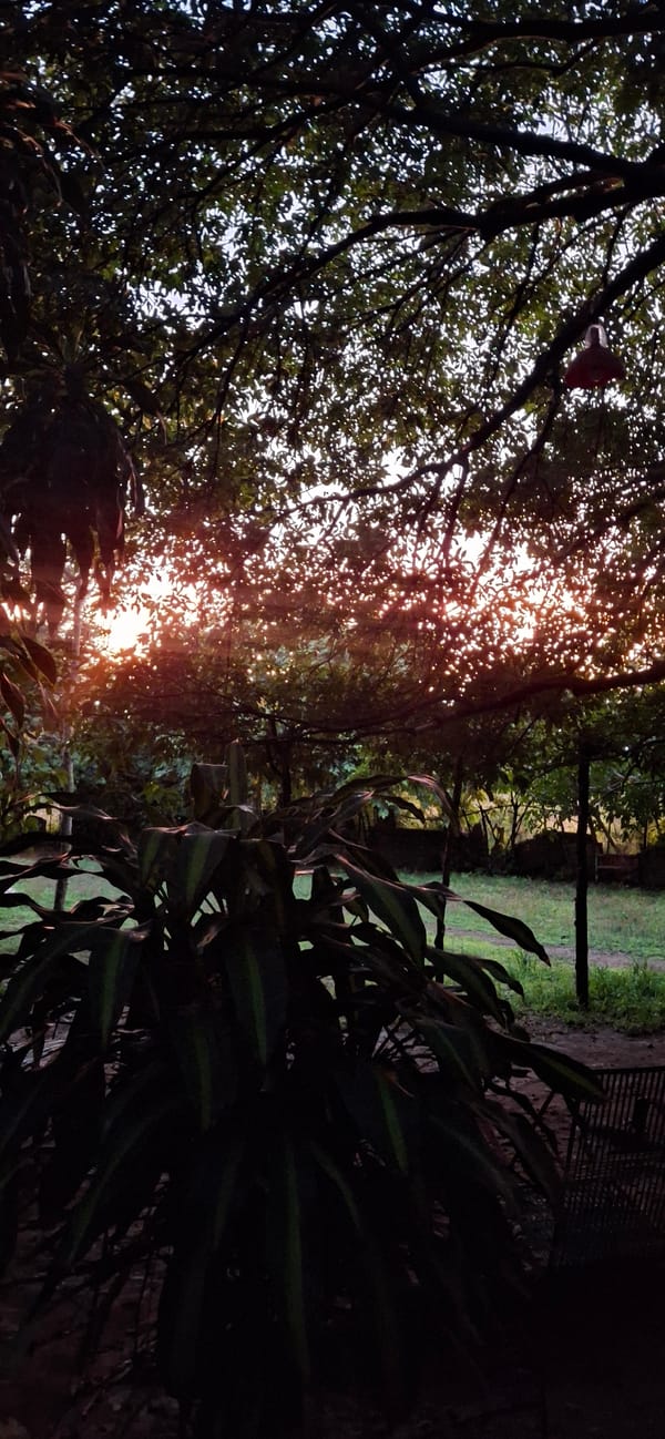 Sunset over rural Vallecito, Venezuela, caught from multiple angles