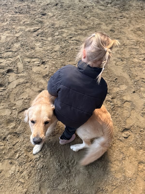 Child embraces golden retriever in Belgium