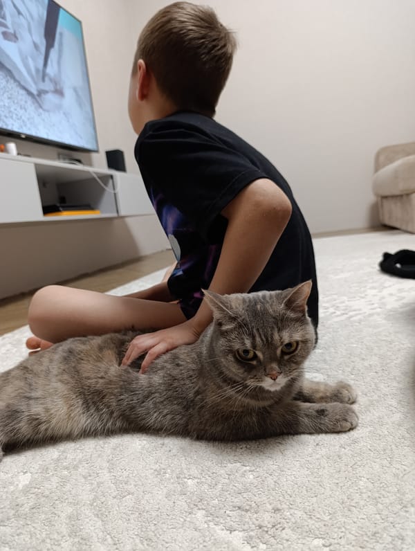 Child and cat share quiet afternoon at home