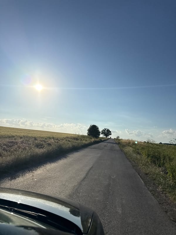 Road trip through golden grain fields near Zornitsa, Bulgaria