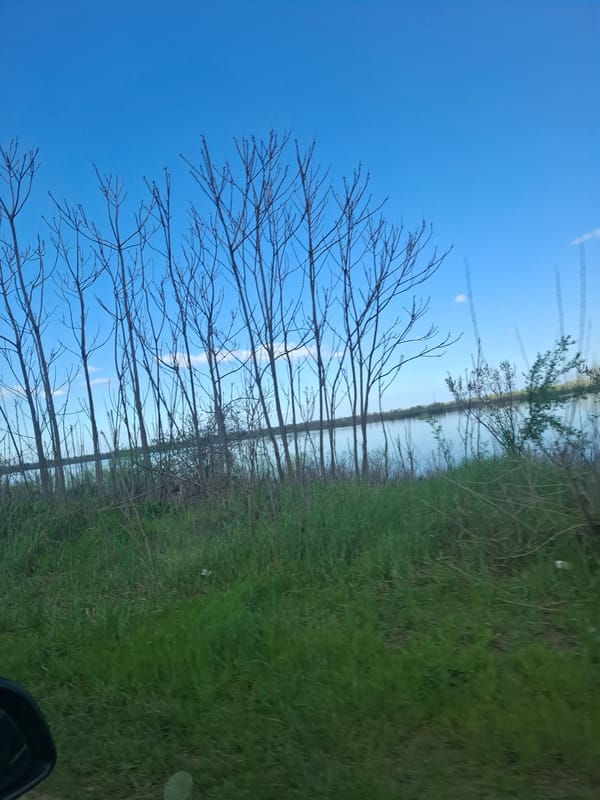 Spring river views captured along Danube in Archar, Bulgaria