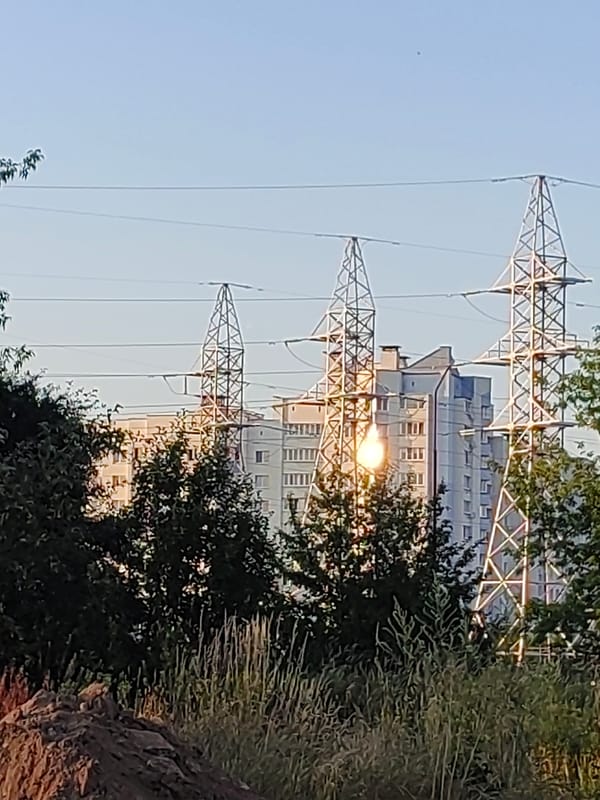 Wildflowers and golden hour in a Hrodna park, summer evening