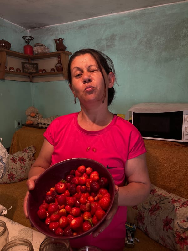 Woman prepares traditional strawberry compote in Bulgarian village kitchen