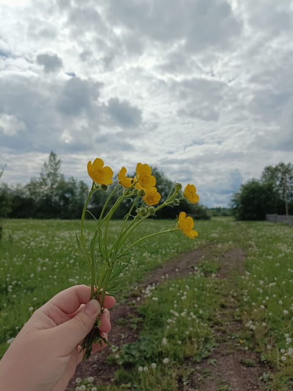 Mother and baby collect wildflowers in Russian countryside
