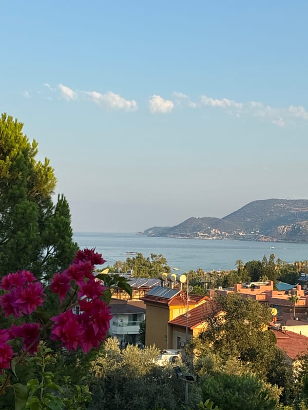 Cats, flowers, and cable cars on a sunny Alanya afternoon