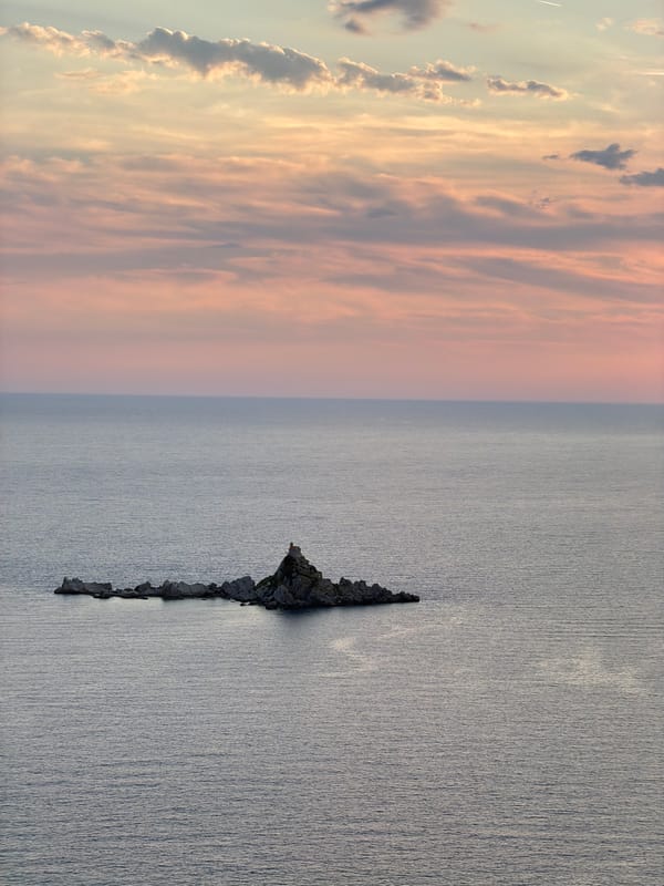 Dog on the cliffs at golden hour, Petrovac