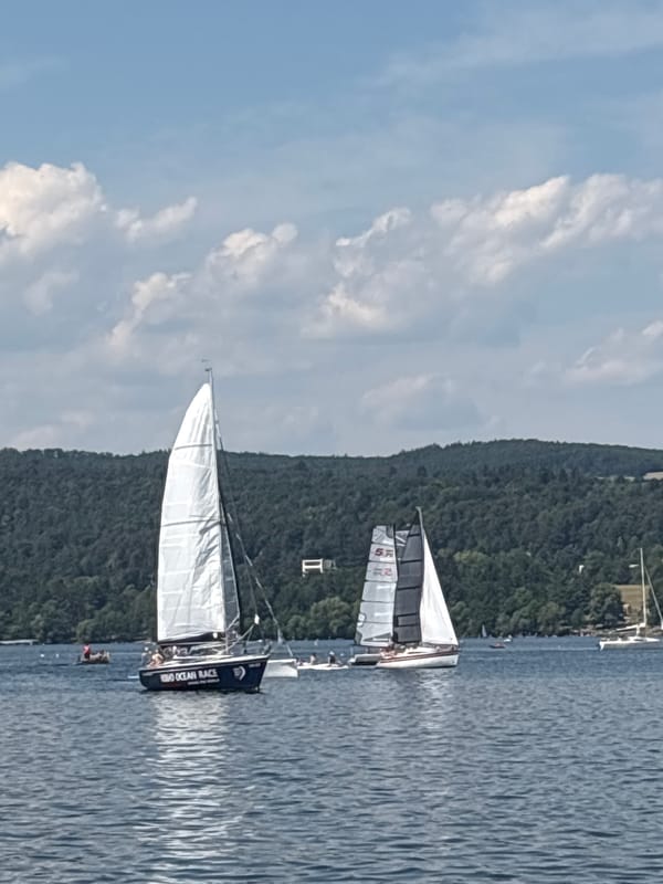 Busy lake day — swimming, boats, docks, and waterfront vibes