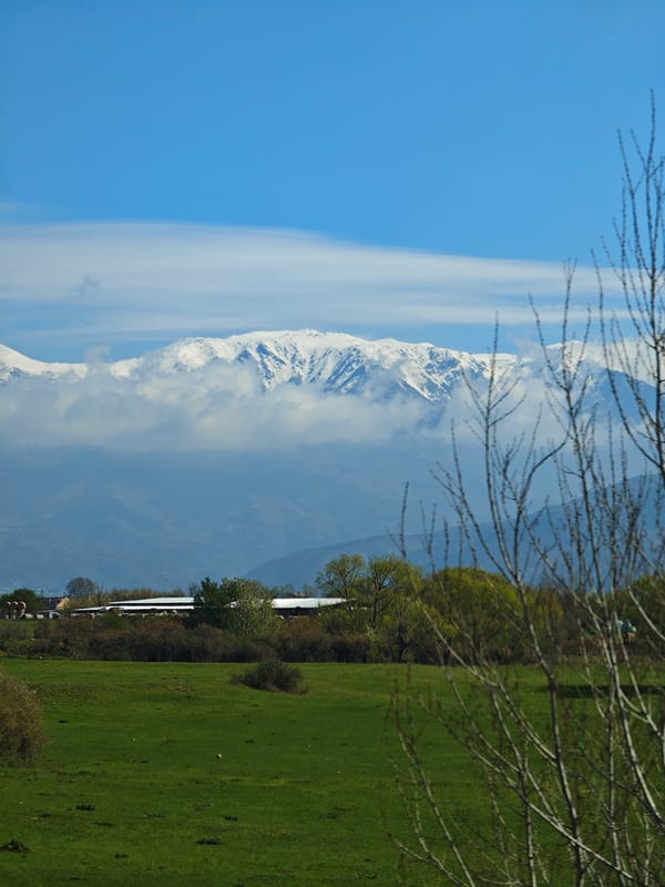 Rural landscape photographed in Kocherinovo, Bulgaria