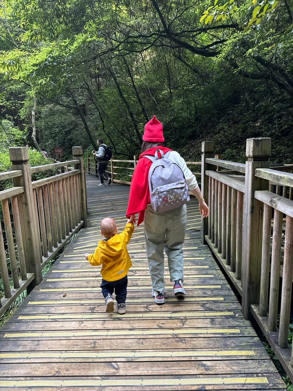 Tourists explore wooden walkways and caves in Zhangjiajie, China