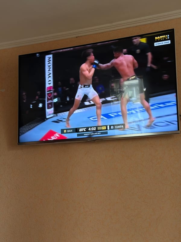 UFC fight broadcast on TV in Beryozovka, Russia