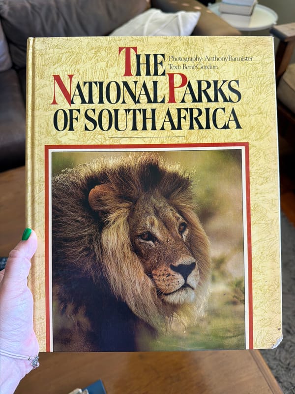 Cape Town morning captures wildlife books, urban bird, wine